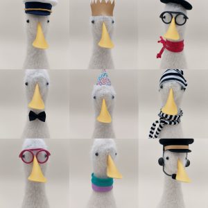 Accessoires
